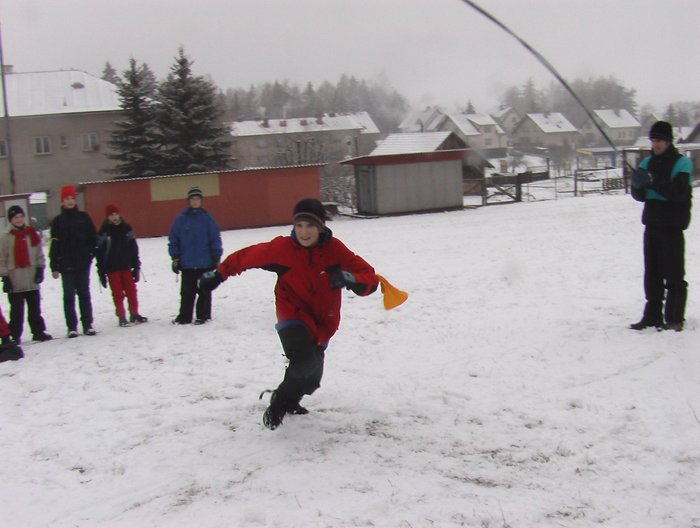 036 Expedice GEMINI 2004